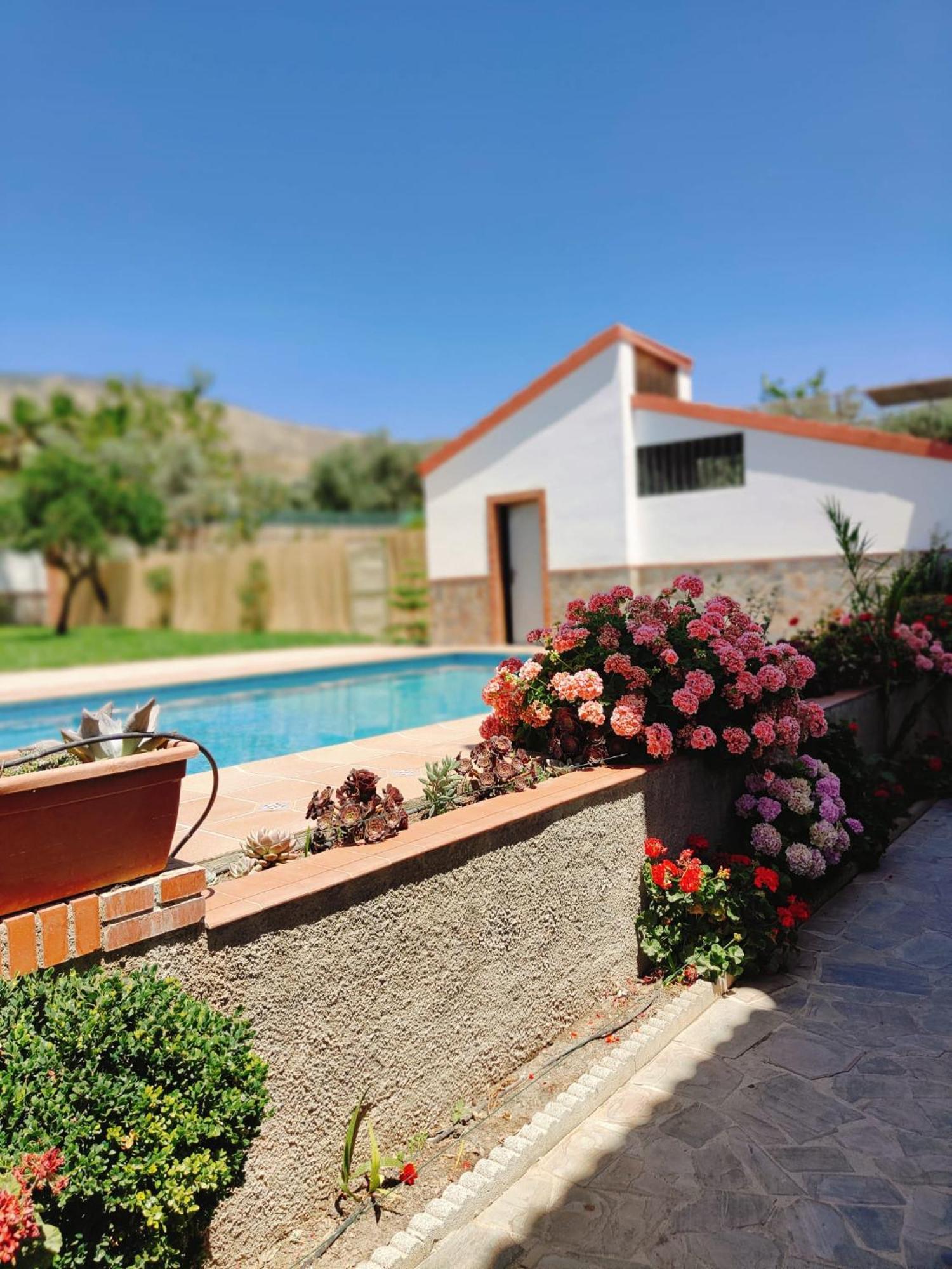 Casa Rural Las Cuatro Flores Orgiva Dış mekan fotoğraf